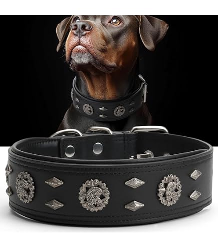 Amazon.com : Leather Dog Collar, 2 inches Wide Heavy Duty Genuine